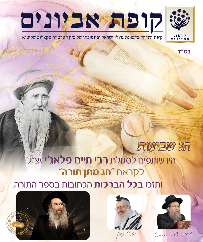 חג מתן תורה